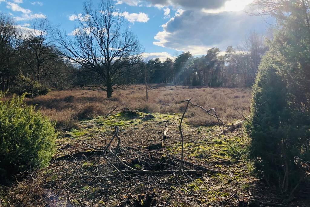 Vakantiebungalow In Bosrijke Omgeving Luttenberg Villa Eksteriør bilde